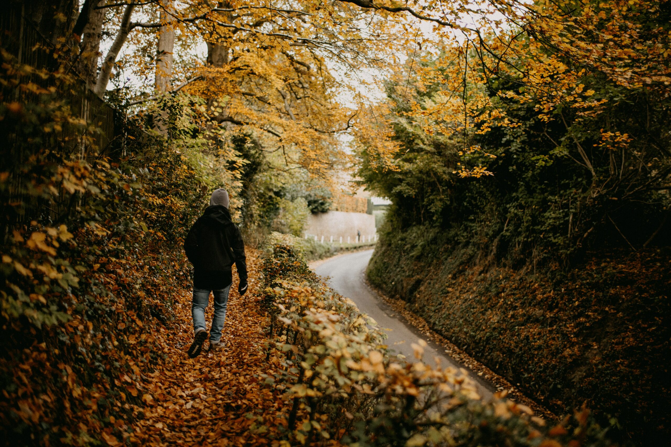 Taking walks one of the beneficial exercises for seniors.