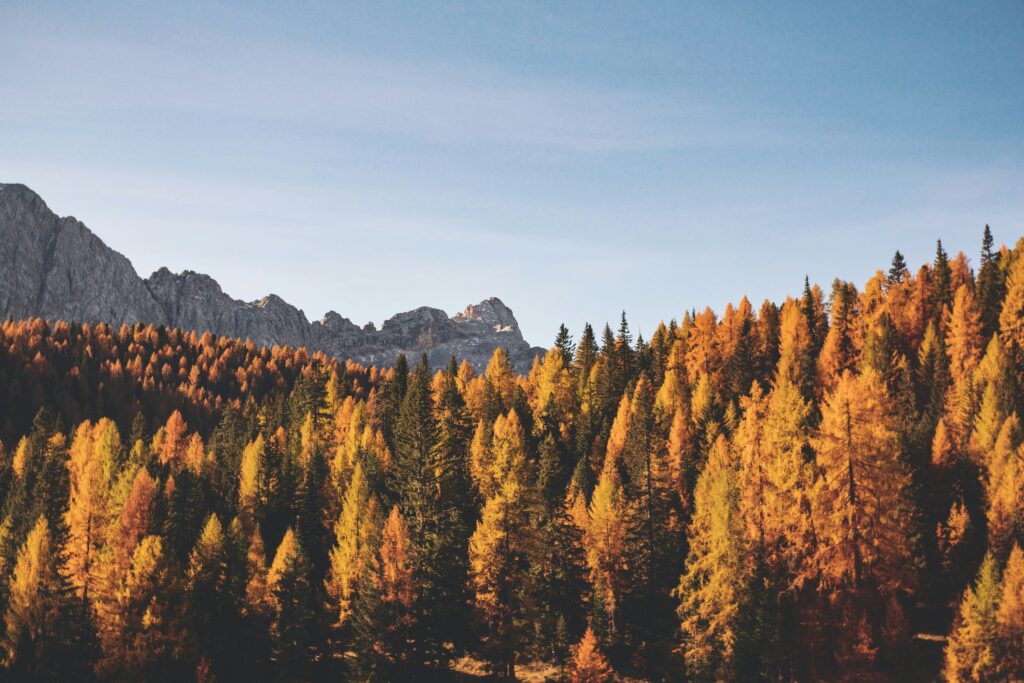 Decorating for fall can bring warmth and comfort.