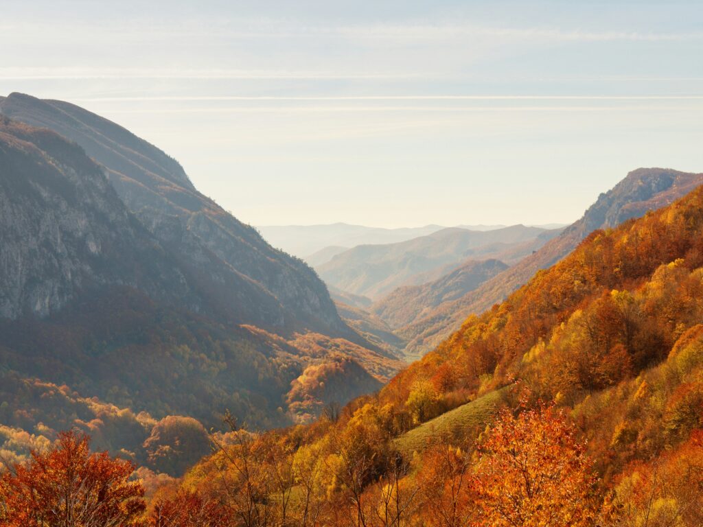 iuliu-illes-imfNjImTFGI-unsplash Gratitude is encouraged and nourished in Cornerstone senior living communities.