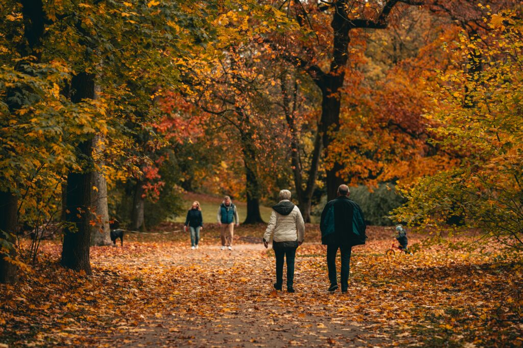 Cornerstone has plenty of fun fall activities for seniors.