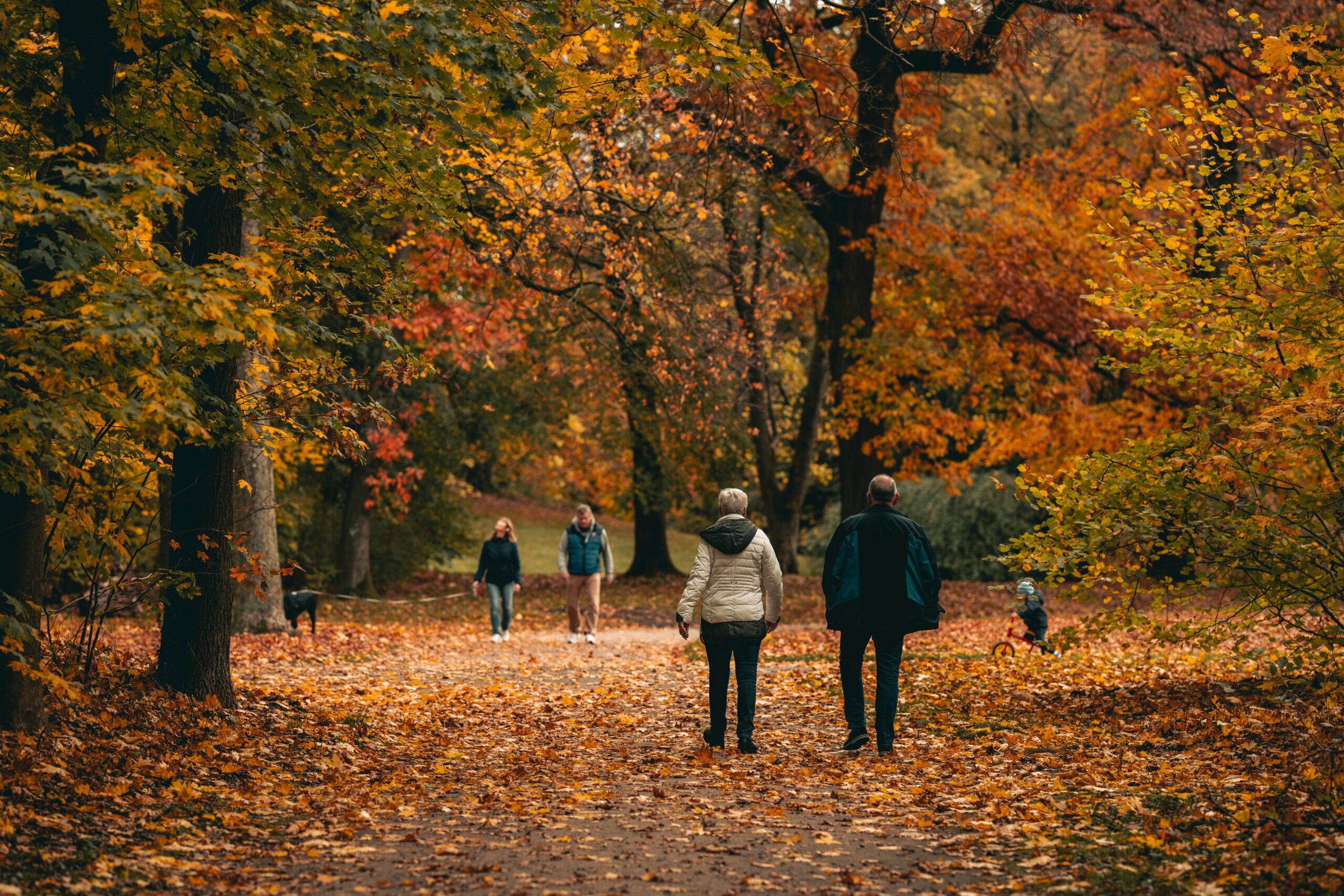 omar-ramadan-U6dfq0y-hH0-unsplash Cornerstone has plenty of fun fall activities for seniors.