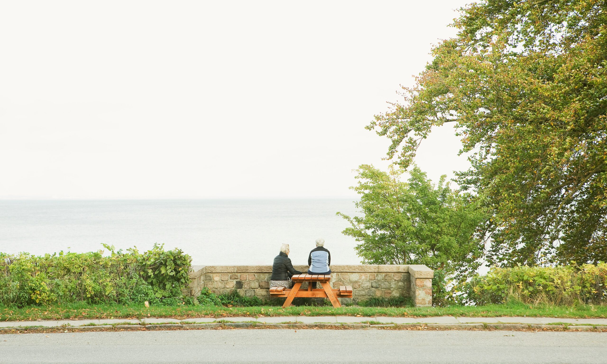 There are many summer activities that will keep seniors and their loved ones busy.