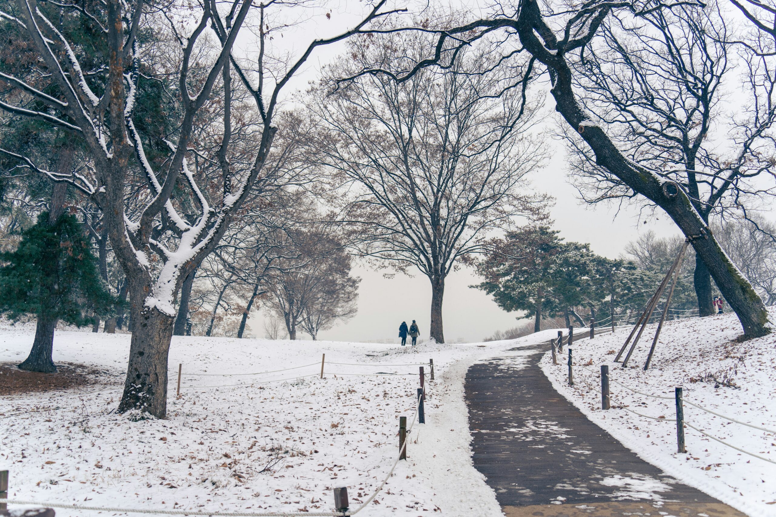 sq-lim-gorWjCeSuk8-unsplash Senior living winter safety is Cornerstone's top priority.